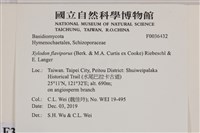 登錄號:F0036432藏品圖，第2張