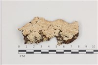 登錄號:F0036432藏品圖，第1張