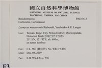 登錄號:F0036433藏品圖，第2張