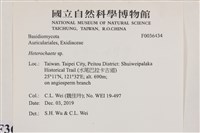刺皮菌屬藏品圖，第2張