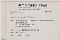 登錄號:F0036435藏品圖，第2張