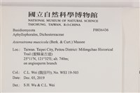 登錄號:F0036436藏品圖，第2張