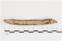 登錄號:F0036436藏品圖，第1張