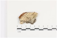 登錄號:F0036437藏品圖，第1張