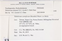 登錄號:F0036440藏品圖，第2張