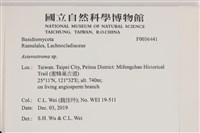 登錄號:F0036441藏品圖，第2張