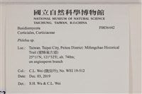射脈菌屬藏品圖，第2張