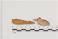 登錄號:F0036443藏品圖，第1張