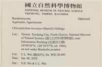 登錄號:F0036445藏品圖，第2張