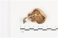 登錄號:F0036445藏品圖，第3張