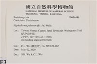 登錄號:F0036446藏品圖，第2張