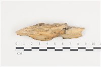 登錄號:F0036446藏品圖，第1張