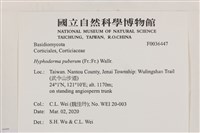 登錄號:F0036447藏品圖，第2張