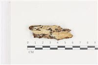 登錄號:F0036447藏品圖，第1張