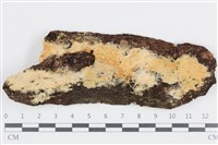 登錄號:F0036448藏品圖，第1張