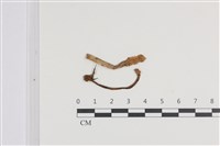 登錄號:F0036451藏品圖，第1張