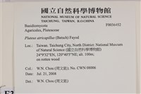 登錄號:F0036452藏品圖，第2張