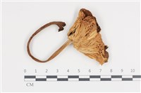 登錄號:F0036452藏品圖，第1張