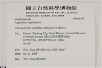 登錄號:F0036453藏品圖，第2張