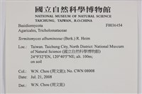 登錄號:F0036454藏品圖，第2張