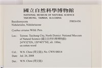 登錄號:F0036456藏品圖，第2張