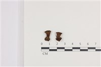 登錄號:F0036456藏品圖，第1張