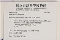 登錄號:F0036459藏品圖，第2張