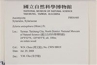 登錄號:F0036460藏品圖，第2張