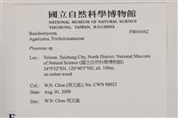 登錄號:F0036462藏品圖，第2張