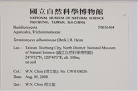 登錄號:F0036464藏品圖，第2張