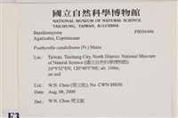 登錄號:F0036466藏品圖，第2張