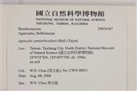 登錄號:F0036467藏品圖，第2張