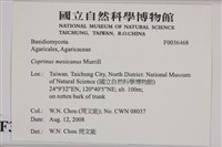 登錄號:F0036468藏品圖，第2張