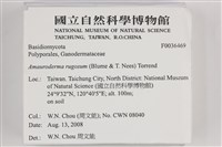 登錄號:F0036469藏品圖，第2張