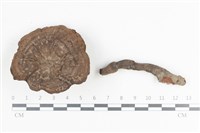 登錄號:F0036469藏品圖，第1張