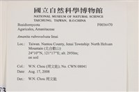 登錄號:F0036470藏品圖，第2張