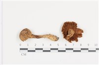 登錄號:F0036470藏品圖，第1張