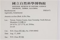 登錄號:F0036471藏品圖，第2張