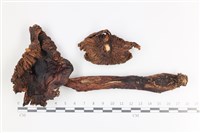 登錄號:F0036471藏品圖，第1張