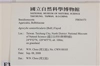 登錄號:F0036473藏品圖，第2張