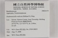 登錄號:F0036475藏品圖，第2張
