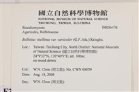 登錄號:F0036476藏品圖，第2張