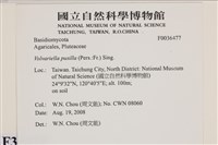 登錄號:F0036477藏品圖，第2張