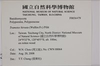 登錄號:F0036479藏品圖，第2張