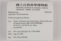 登錄號:F0036482藏品圖，第2張