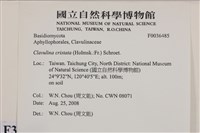 登錄號:F0036485藏品圖，第2張