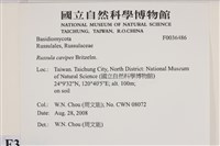 登錄號:F0036486藏品圖，第2張