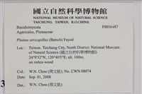 登錄號:F0036487藏品圖，第2張