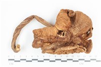 登錄號:F0036487藏品圖，第1張