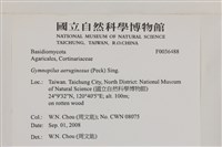 登錄號:F0036488藏品圖，第2張